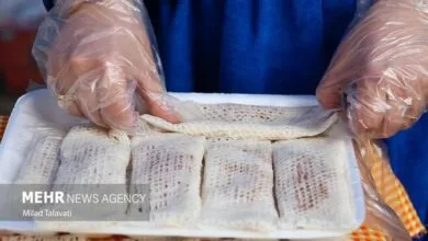 5402140.jpg