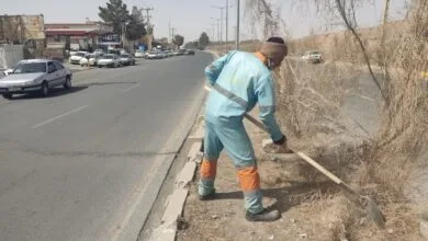 5403791.jpg