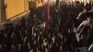 5423050.jpg