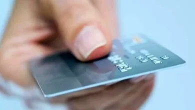57803677.jpg