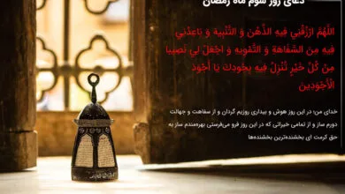 62959158.jpg