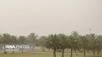 63018998.jpg