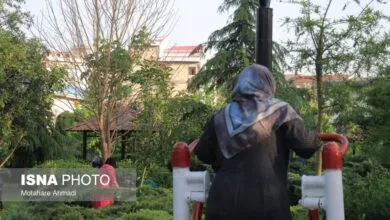 63053966.jpg
