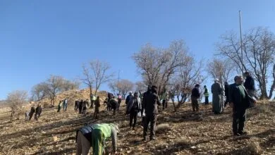 جذب بیش از ۲۲ هزار همیار طبیعت در لرستان
