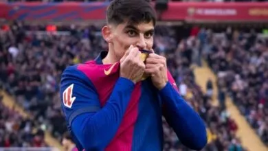 63378902.jpg