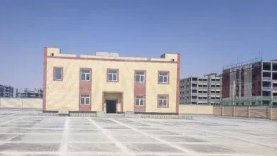 63378962.jpg