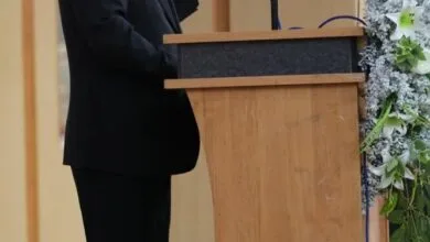 63391850.jpg