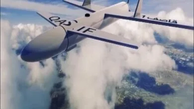 2966075.jpg