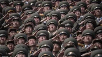 3576565.jpg