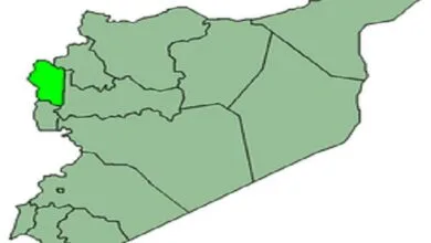 5385775.jpg