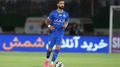 5527563.jpg