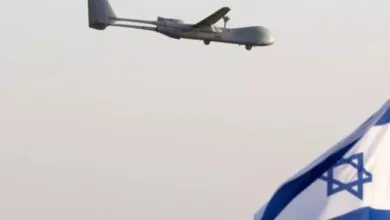 63461663.jpg