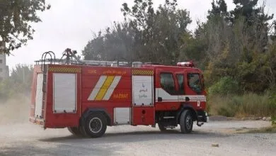 5541261.jpg