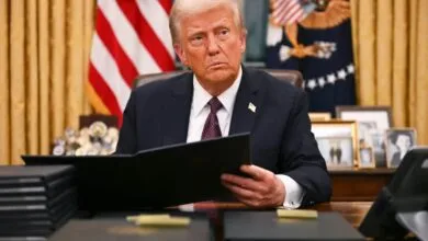 5593626.jpg